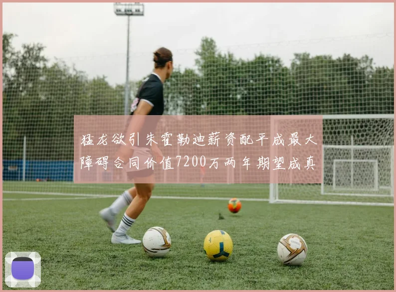 猛龙欲引朱霍勒迪薪资配平成最大障碍合同价值7200万两年期望成真