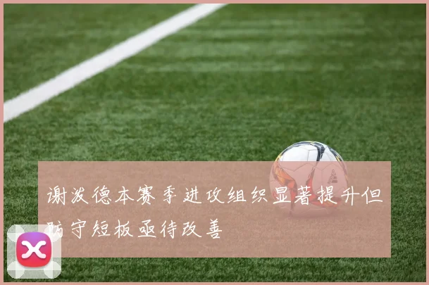 谢泼德本赛季进攻组织显著提升但防守短板亟待改善